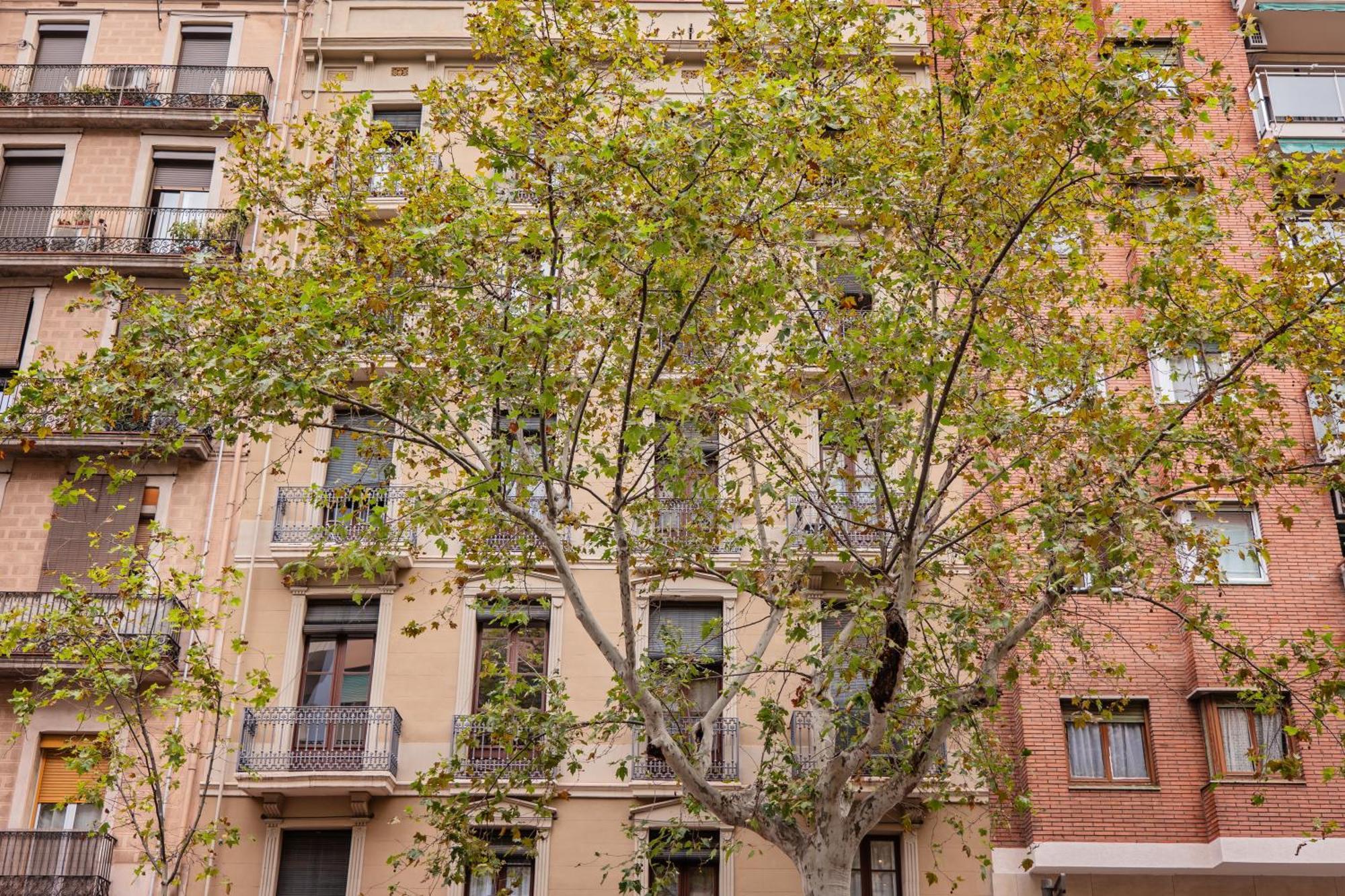 Sweett - Urgell Eixample Daire Barselona Dış mekan fotoğraf